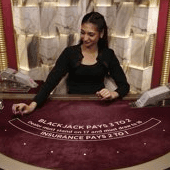 Blackjack VIP 15 game thumbnail