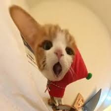 Daniel Villanueva avatar