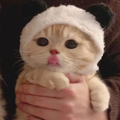 Martin Nievera avatar